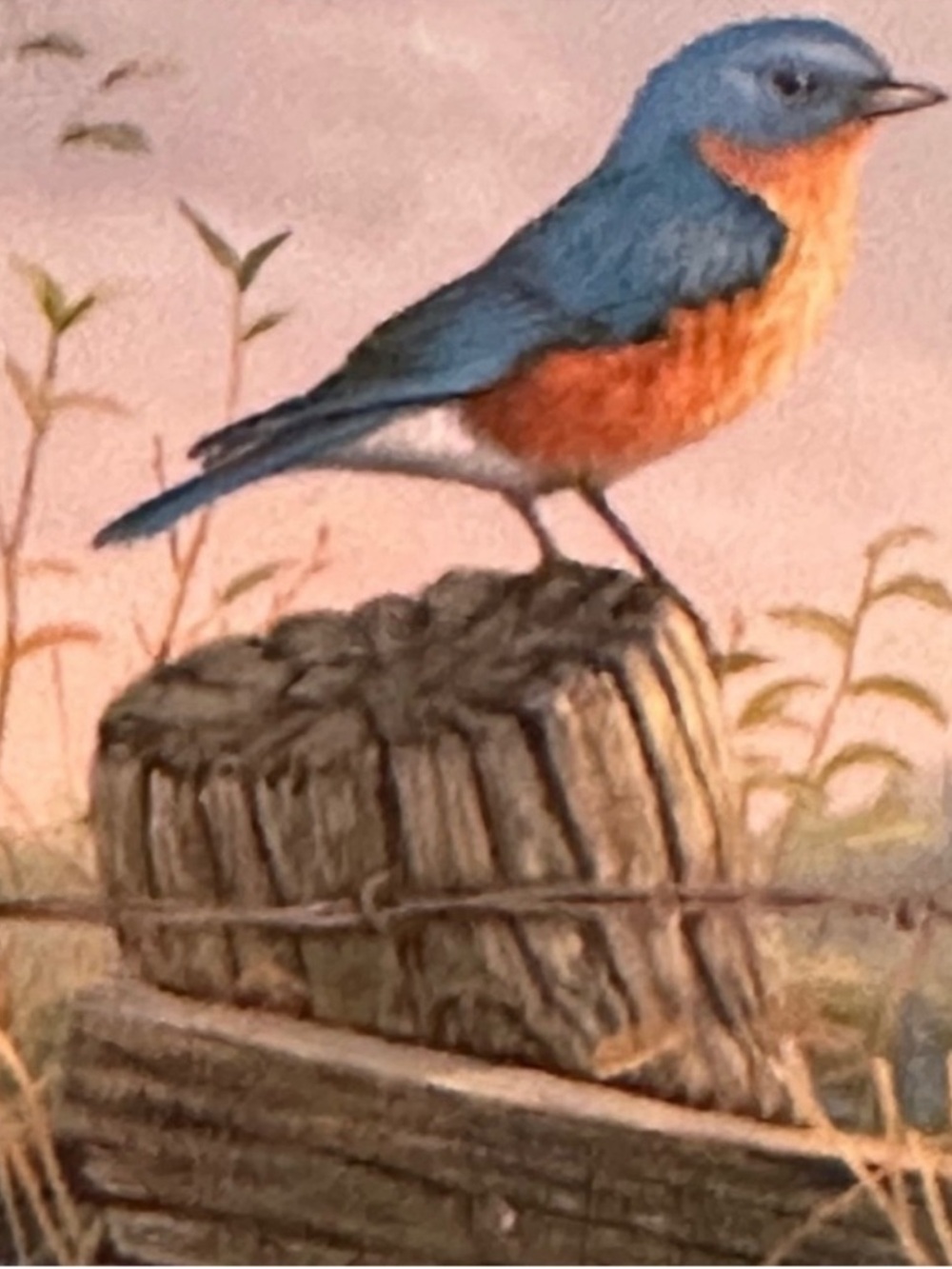 "Western Bluebird" Art Garden Flag~12.5"x18"~NEW!